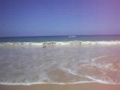 LUIZ GUSTAVO LIMA-PRAIA DA CONCEIÇÃO
