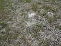 start 4 cross kvv kreidler gebben vhs hs enpo grasbaan