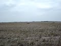 start 4 cross kvv kreidler gebben vhs hs enpo grasbaan