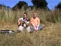 Cows with guns