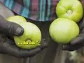 Burger King CEO \"debunks the myth\" of farmworker poverty