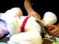 catheter-demonstrati