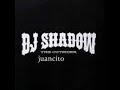 Dj Shadow Kid Ft Dj Luian - Los Reyes De La Pichaera