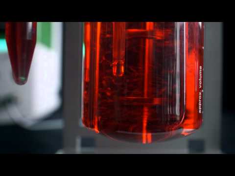 how to control my bv