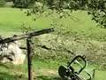Ready, Aim, Fire!!!