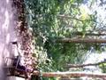 videos de mondika camp 1