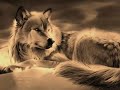 Wolves - Boulvart of Broken Dreams (Greenday) Wolves - Boulvart of Broken Dreams (Greenday)