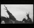 magma tristan & yseult the movie !