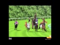 EXTREME HORSE RACING