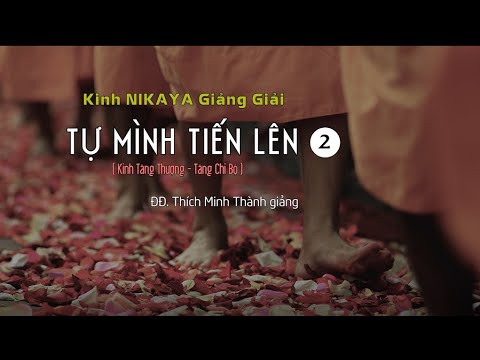 Kinh NIKAYA Giảng Giải - Tự Mình Tiến Lên 2 - Kinh Tăng Thượng - Tăng Chi Bộ