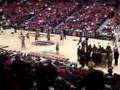 University of Arizona Wildcats Basketball Bear Down