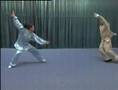 Bagua Opposing Person Routine Bagua Opposing Person Routine