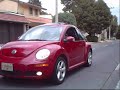 beetle vs passat