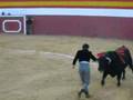 videos de Huescar toros