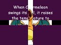 SQUIRTLE CHARMANDER  BULBASAUR