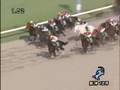 videos de 2008  シリウスＳ SIRIUS STAKES
