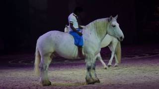 site de rencontre passion cheval