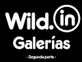 Wild IN Galerías 2
