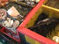 Fish Market, Nampo-Dong, S. Korea