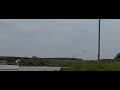 Vogel jaagt boven Nederrijn tegen de wind in.
