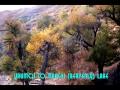 Gina's tour of Silk Road - Part 1 Urumchi, Kazak