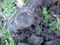 Metal Detecting 12-27-09 Last Hunt.wmv
