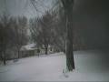 videos de new sled new cam