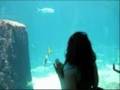 videos de The Bahamas