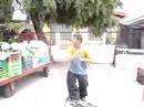 los vilos wau wau