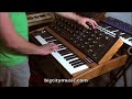 MiniMoog Voyager Old School