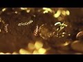 Afterhours La Tempesta è In Arrivo Official Music Video and Lyrics