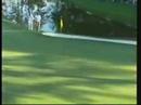 Amazing Golf Shot - Tiger Woods