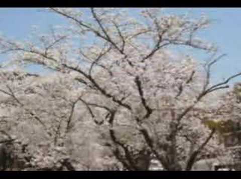 西武庫公園　（歌劇｢フィガロの結婚｣K.492～序曲）