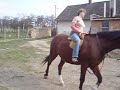 Zde?a na koni