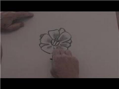Drawing From Nature : How to Draw a Hawaiian Flower