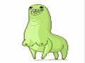llama female version