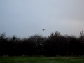 Flybe action at Birmingham