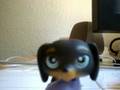 Me singing Who Will I Be (Demi Lavato)