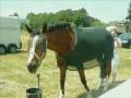 Livius - Simply The Best