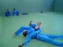 Vovinam Viet Vo dao Bretagne