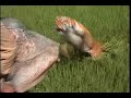 衝撃スクープ裏のウラ（蒙虎の襲撃）