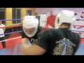 Tanglang Chuji Sanda (Elementary Free-Fighting) Pt 2