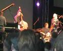 tineke postma jazz middelheim