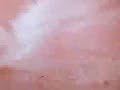 �talage de cr�me