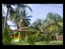BRASIL ( Itacare, Barra Grande, Aimores, Vitoria , Foz de Iguazu)