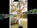 videos de Retrospectiva Niver *William* 2008