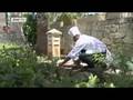 euromaxx a la carte | Stuffed Maltese Chicken