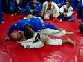 paulo filho in bjj technique