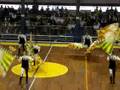 videos de Campionato 2008- Grande Squadra Gallicano