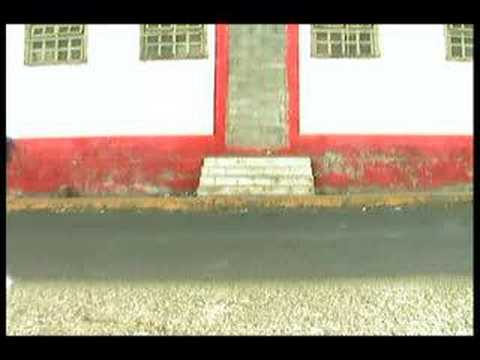 TERMITAS EN COACALCO DEMO VIDEO